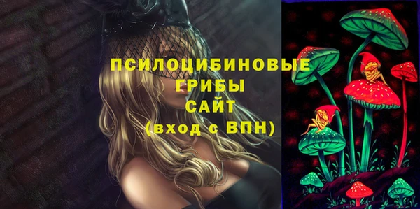 твердый Абинск