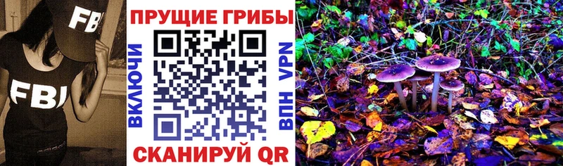 Галлюциногенные грибы прущие грибы  Удомля 